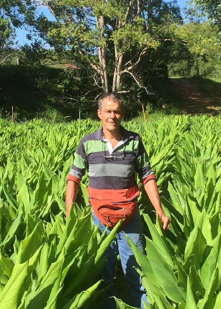 Doug English - Turmeric Life